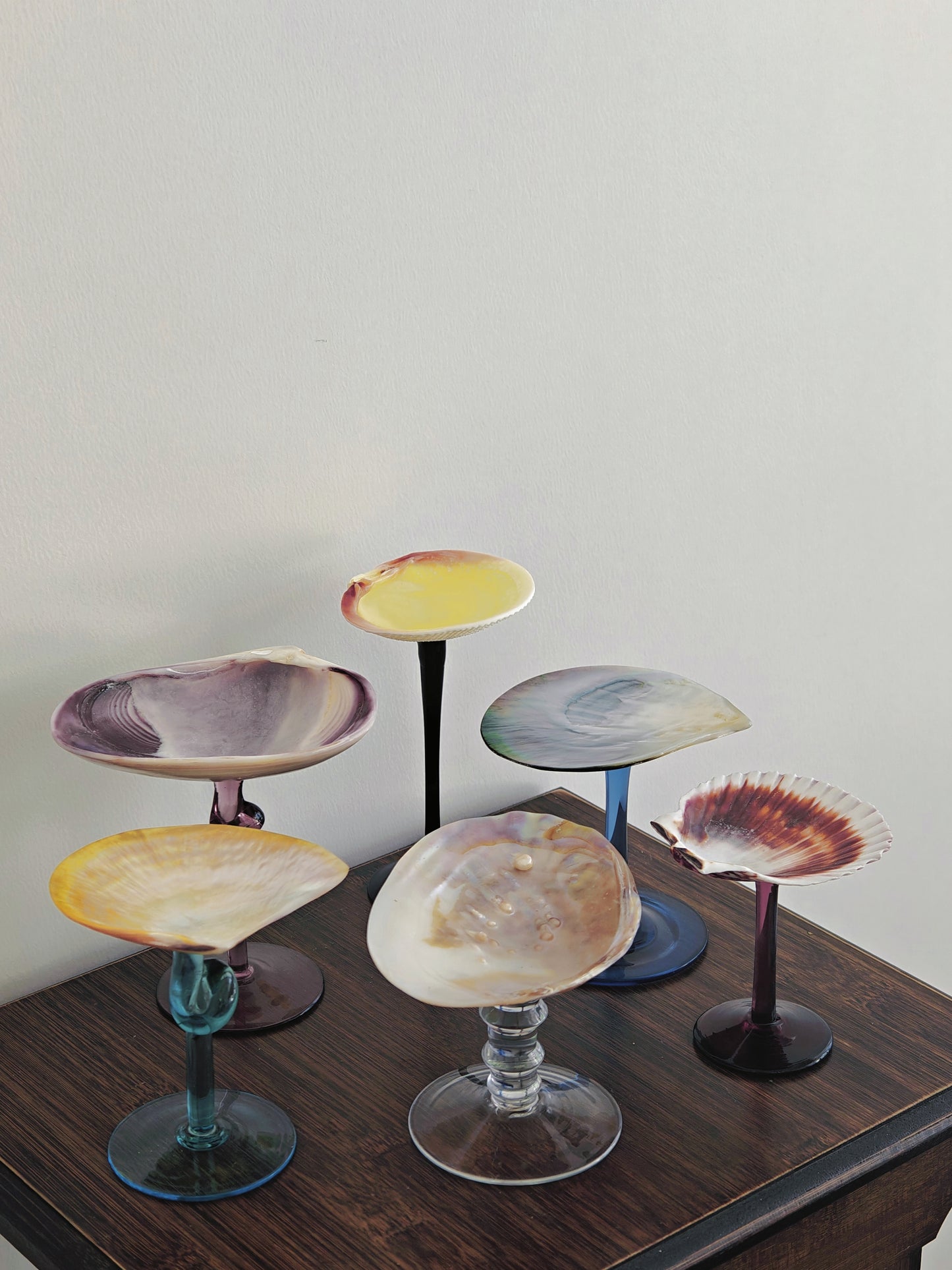 6 shellglass【A whole set】