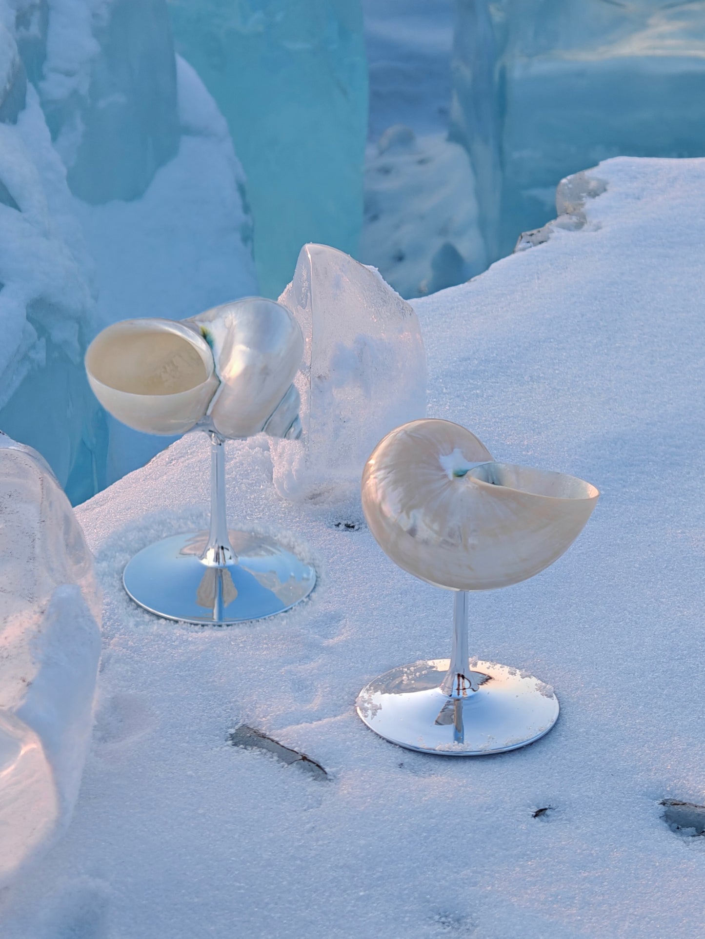 2shellglass【A whole set】