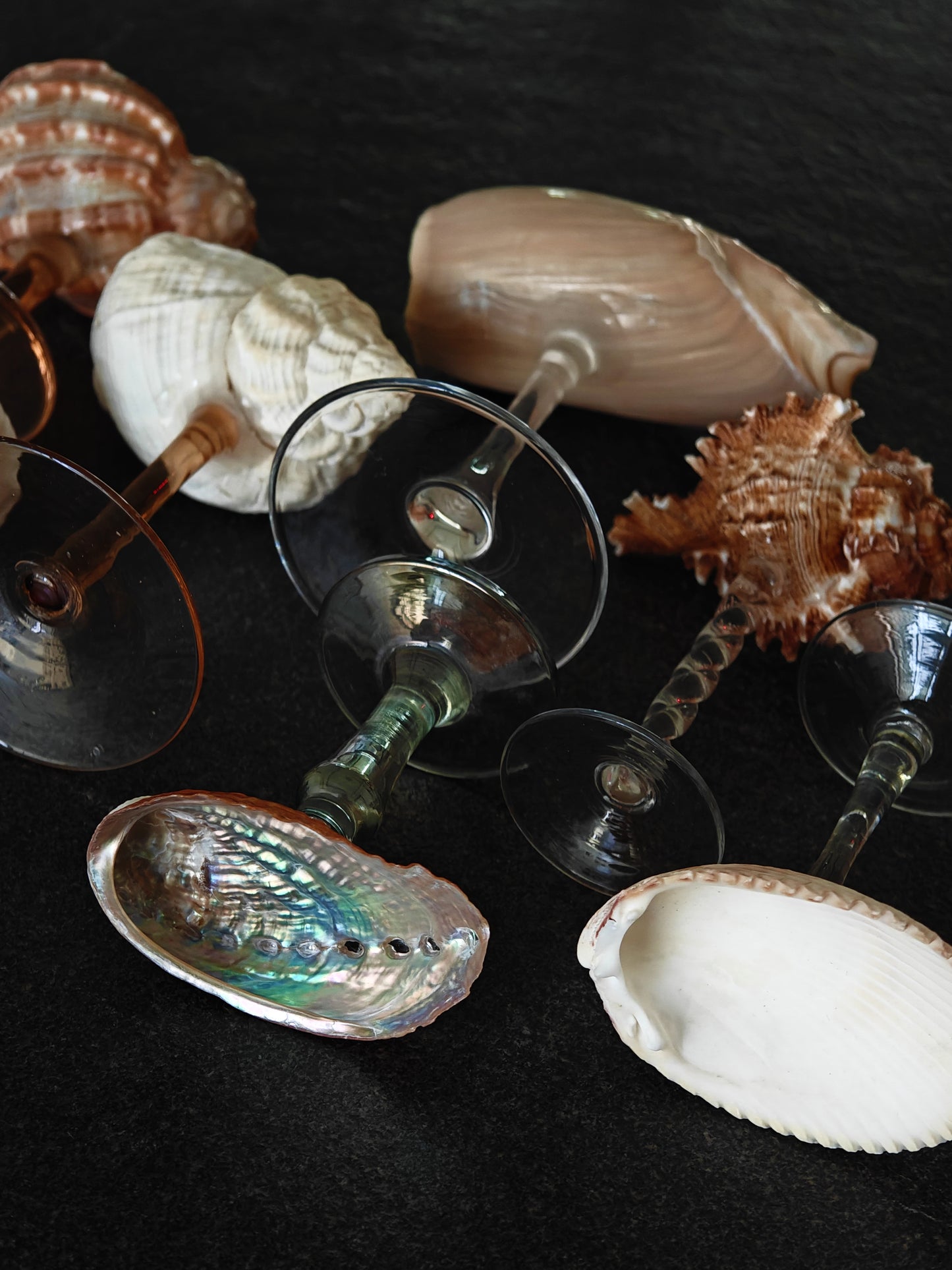 7 shellglass【A whole set】