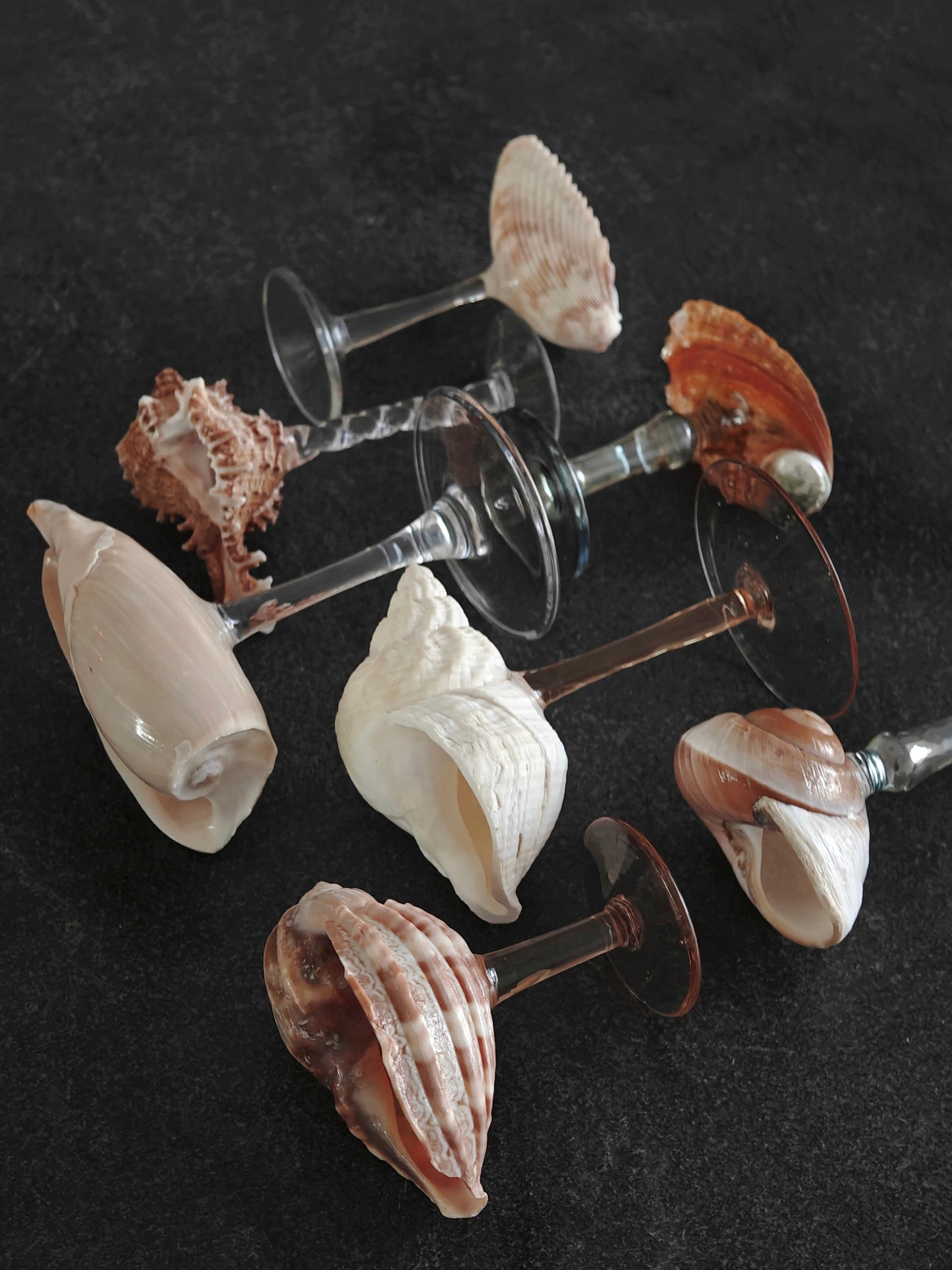 7 shellglass【A whole set】