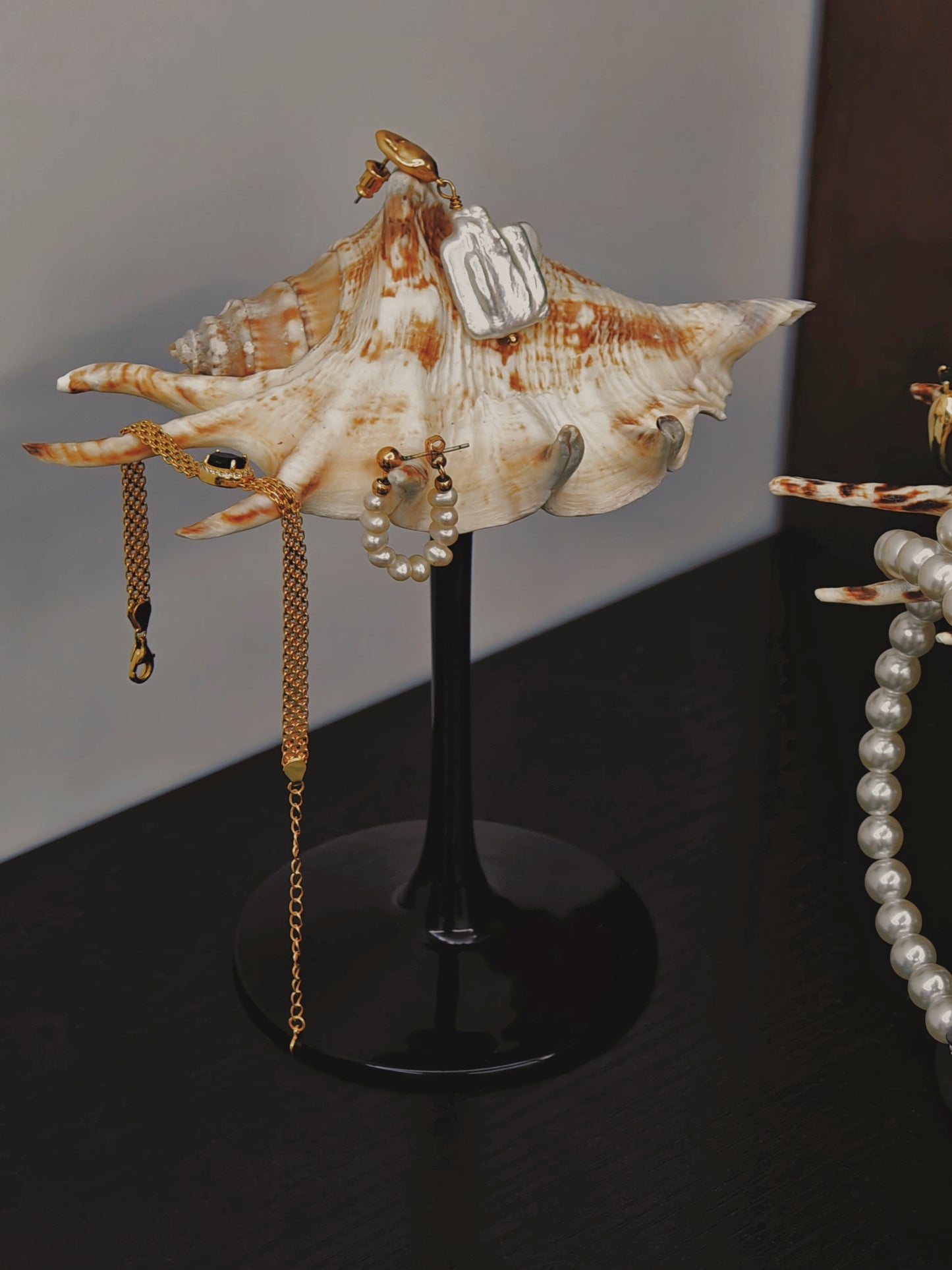 2shellglass【A whole set】