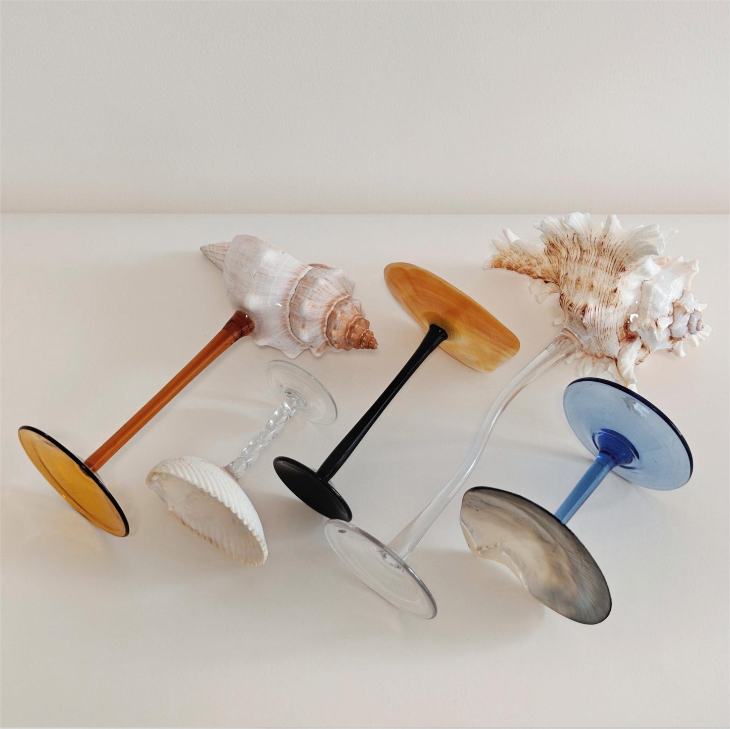 5 shellglass【A whole set】