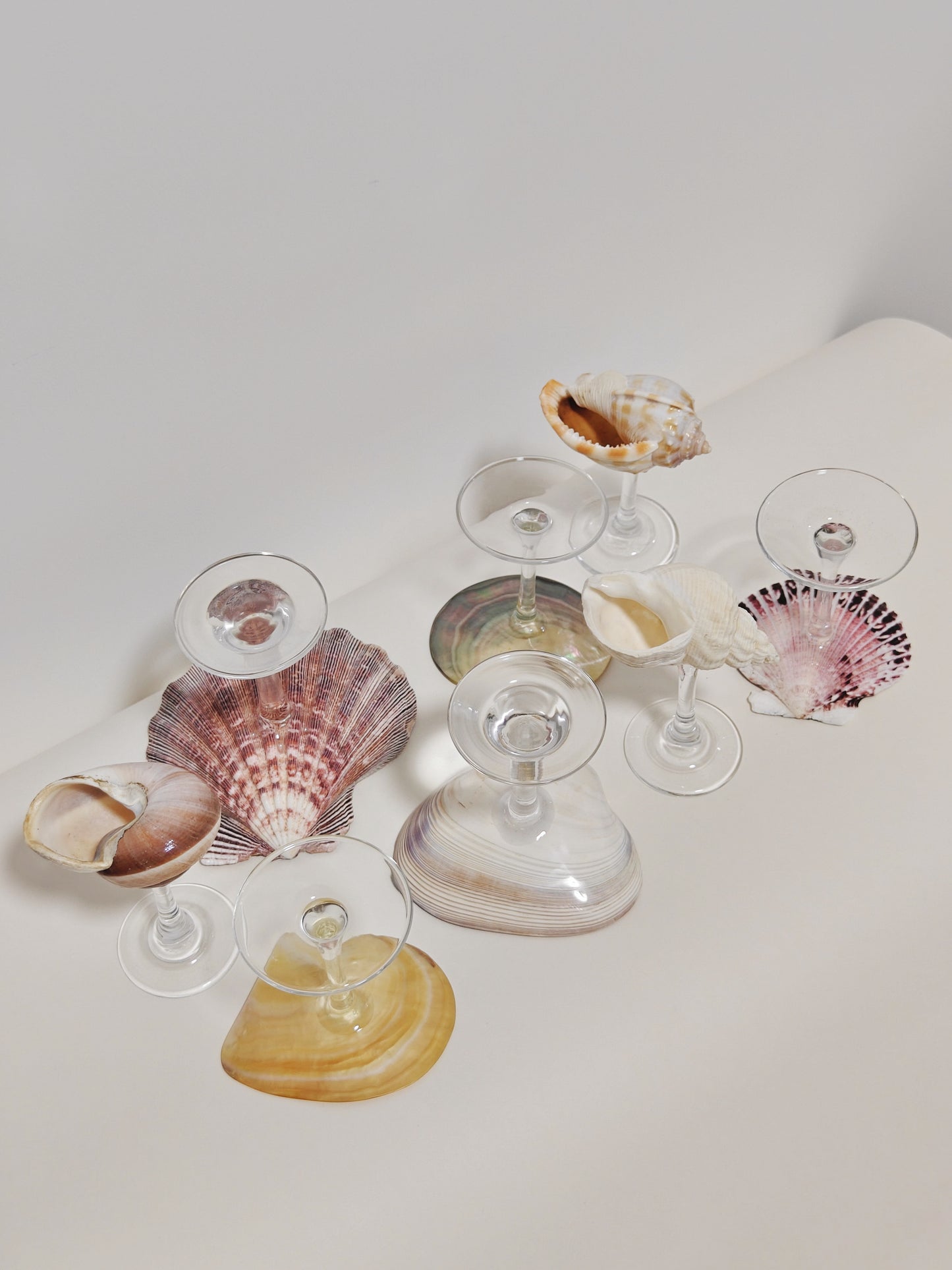 8 shellglass【A whole set】
