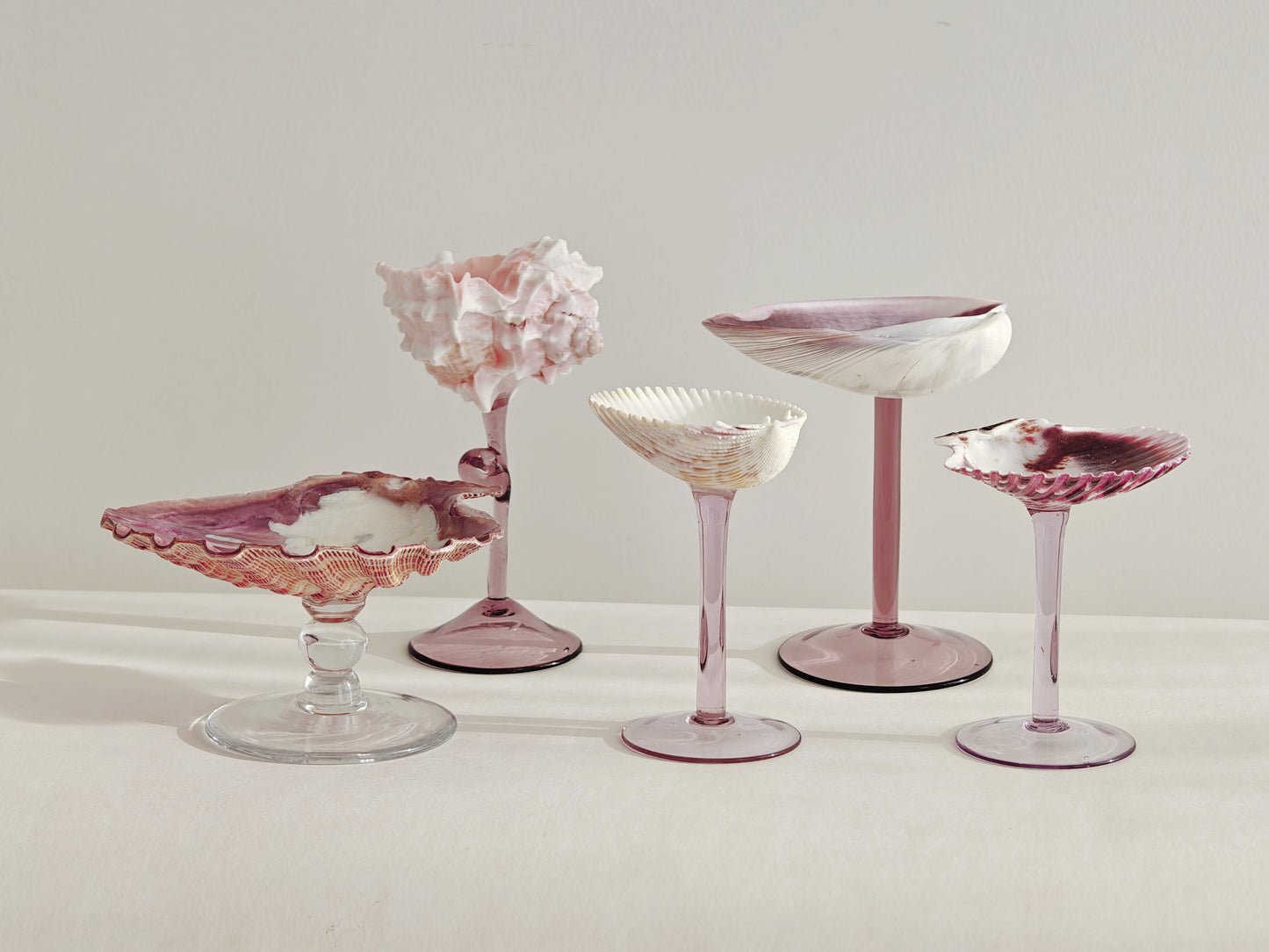 5shellglass【A whole set】