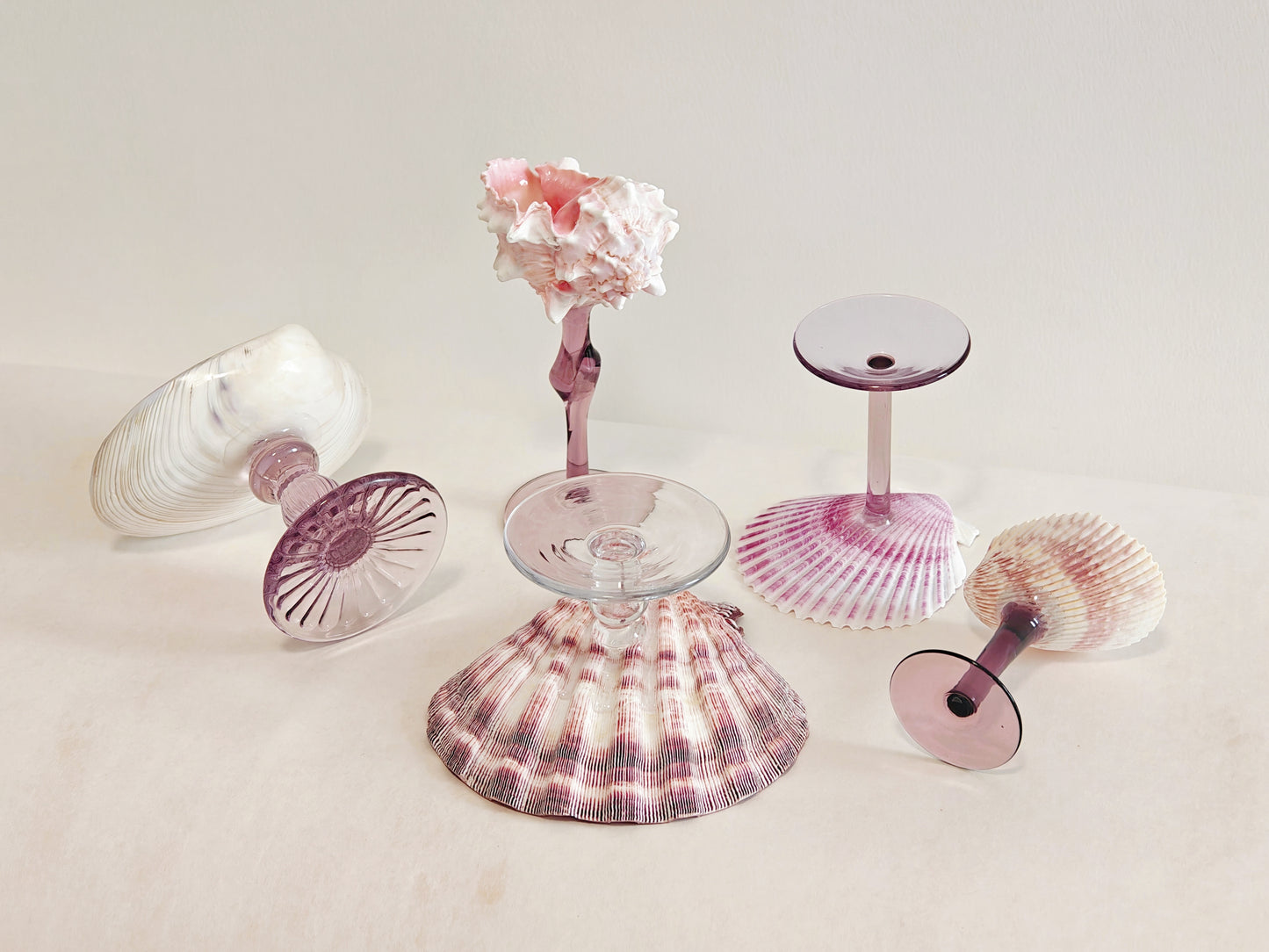 5 shellglass【A whole set】