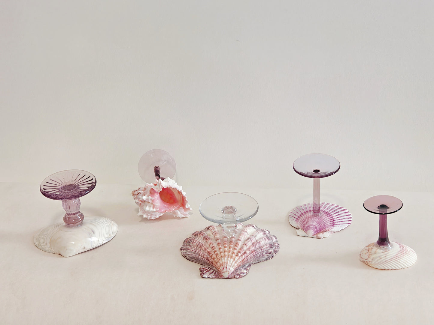 5 shellglass【A whole set】