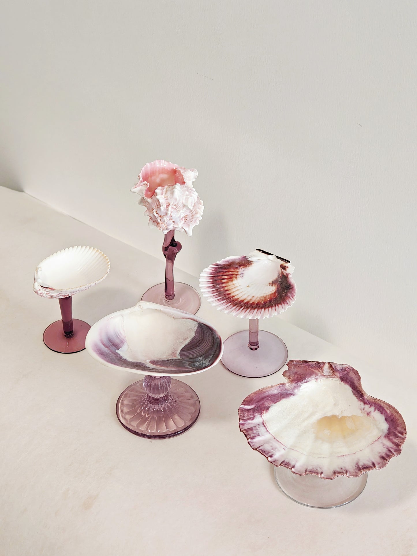 5 shellglass【A whole set】