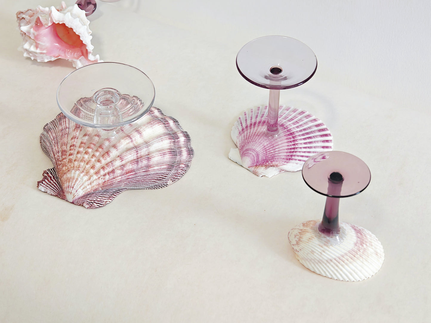 5 shellglass【A whole set】