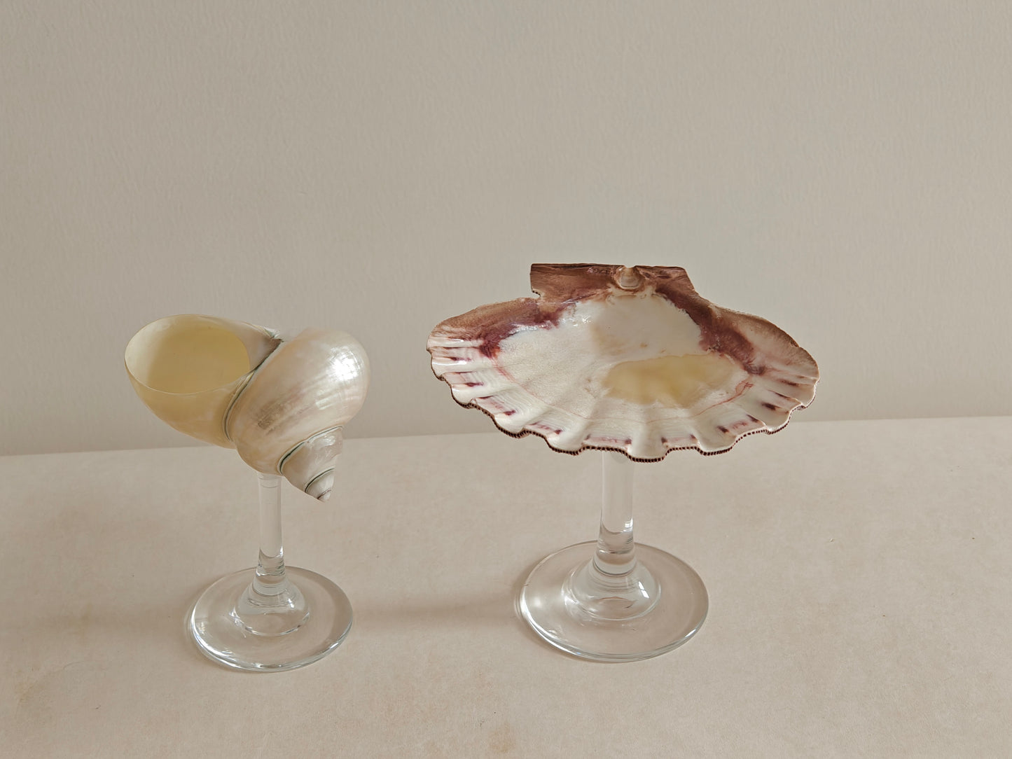 2shellglass【A whole set】