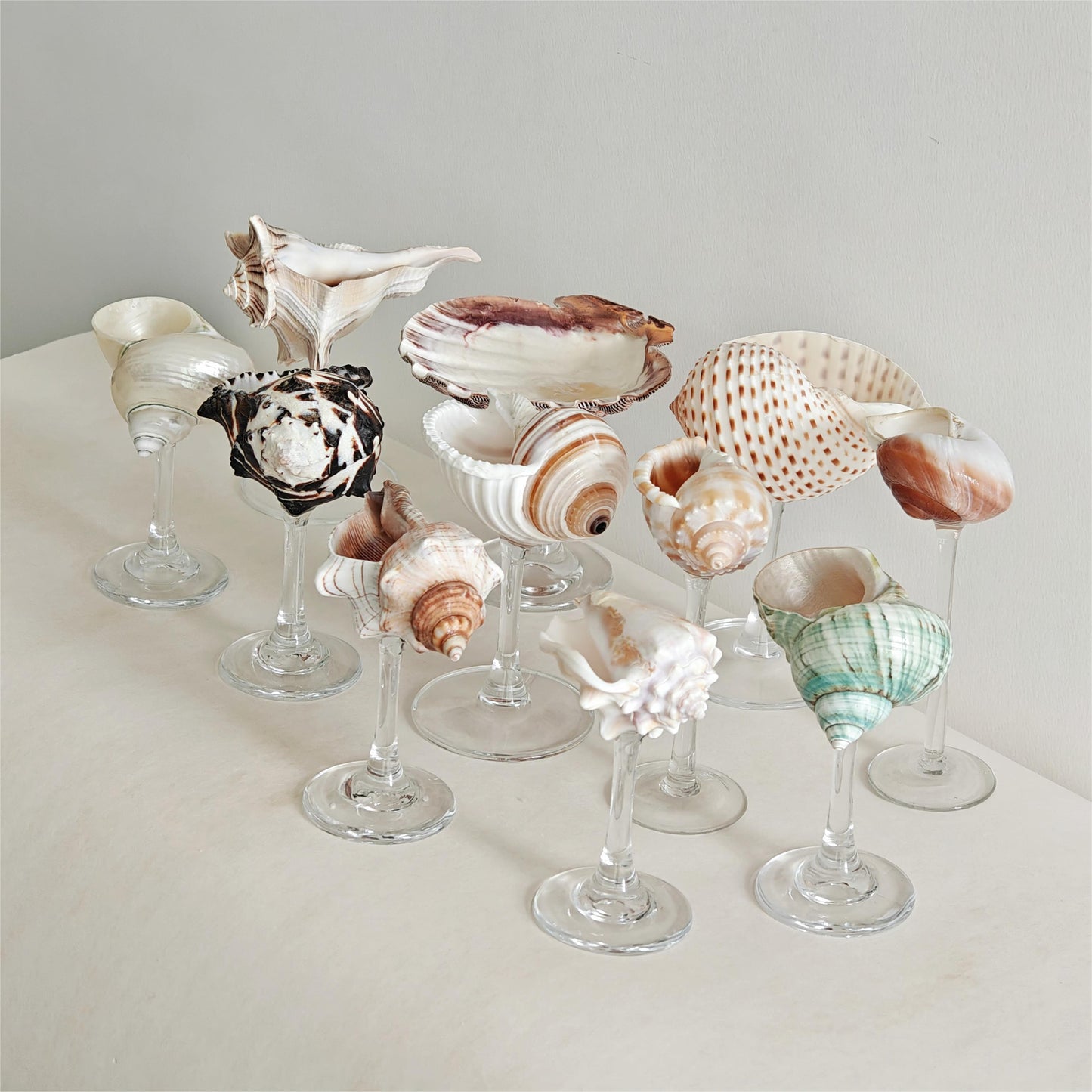11 shellglass【A whole set】