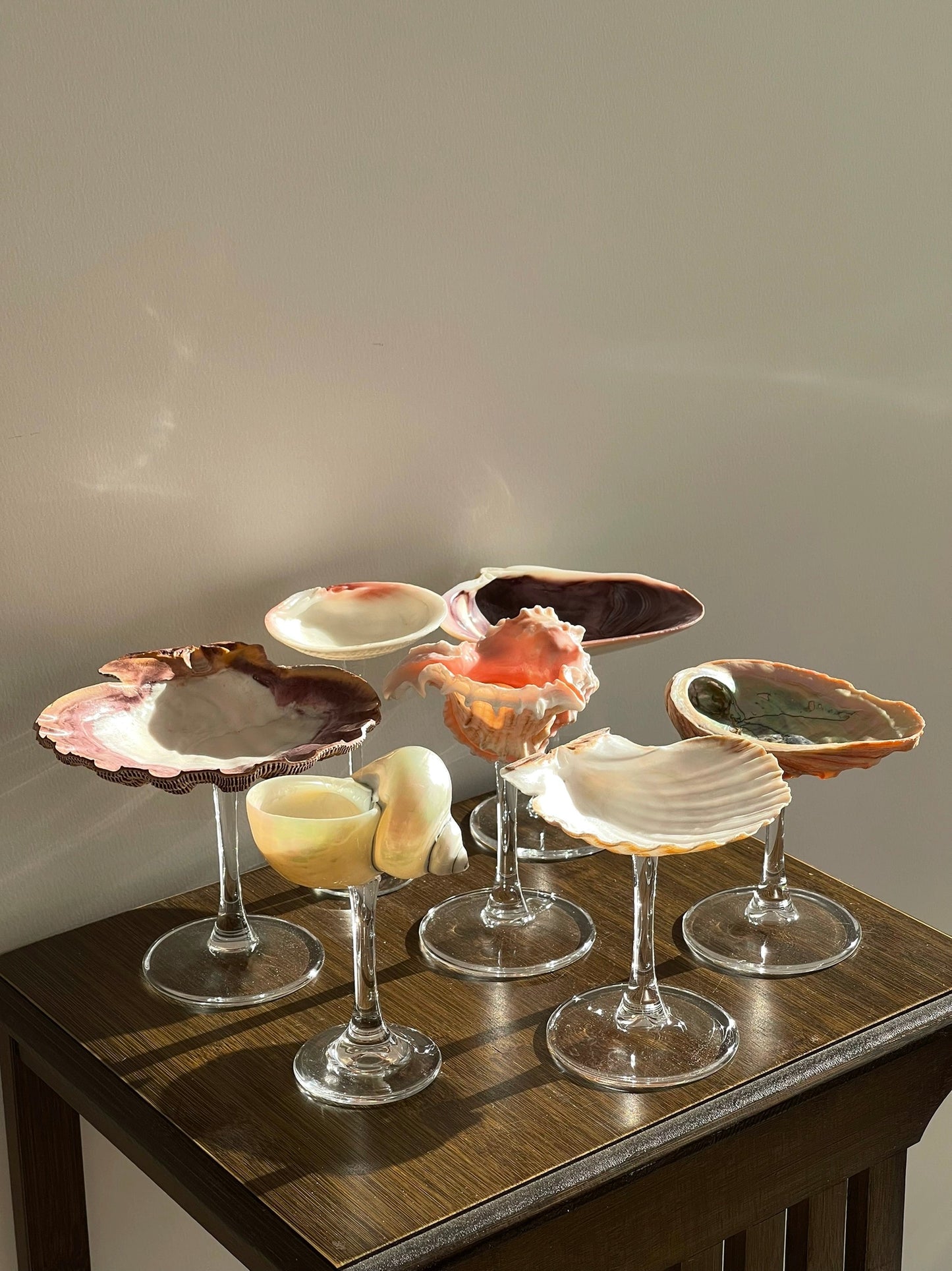 one shellglass