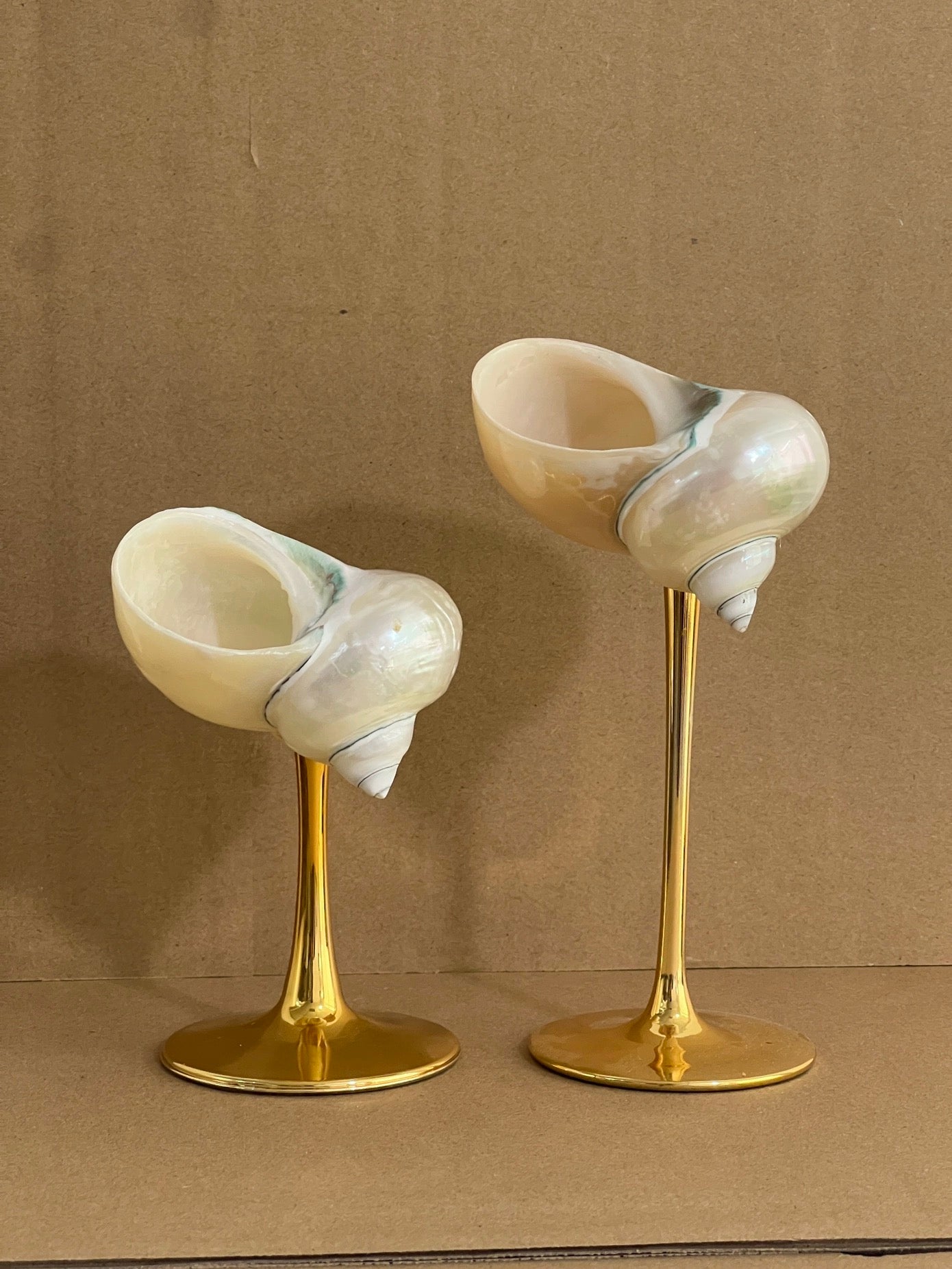 2 shellglass【A whole set】