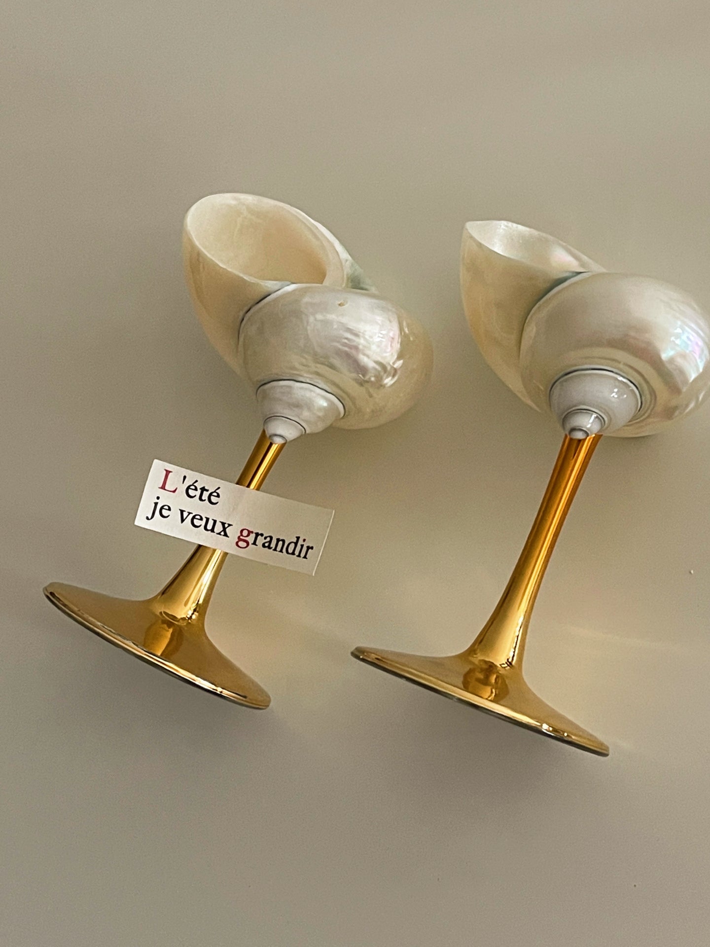 2 shellglass【A whole set】
