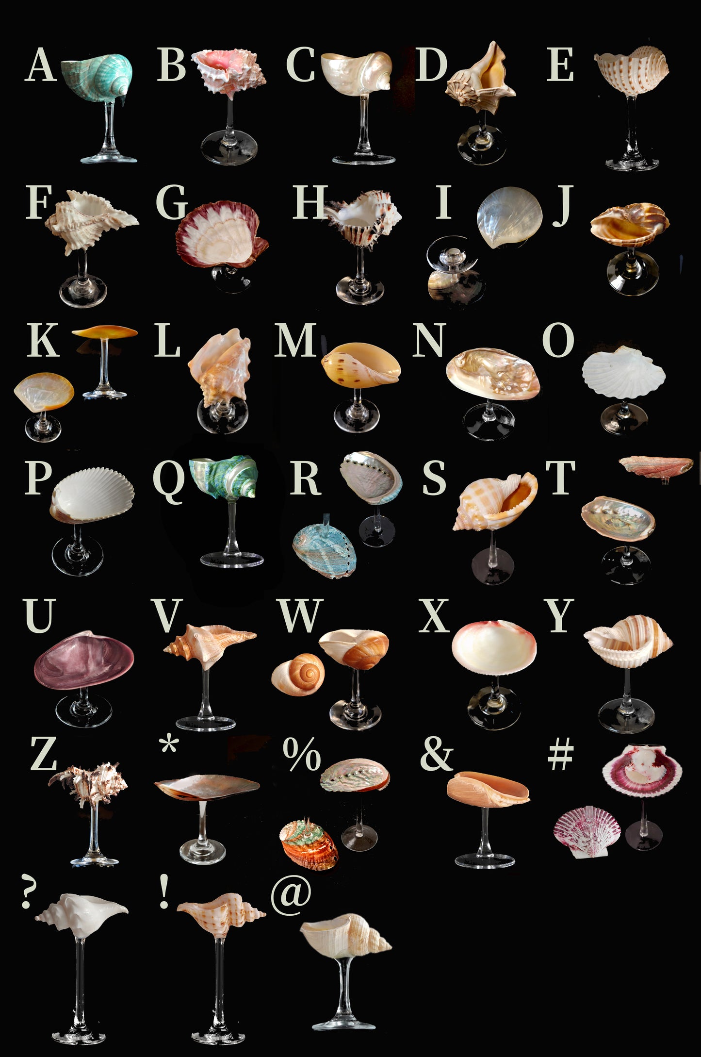 one shellglass
