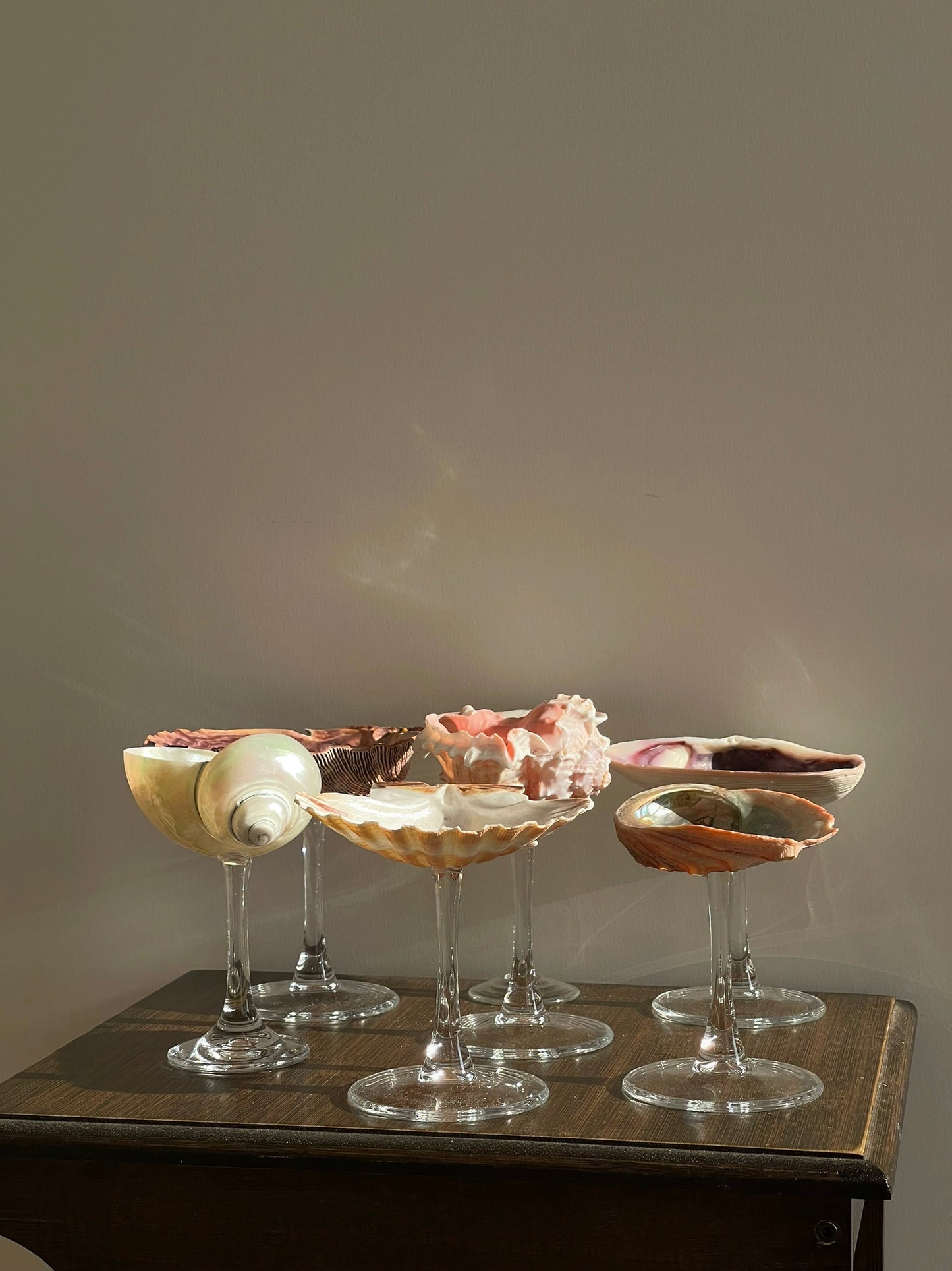 7 shellglass【A whole set】